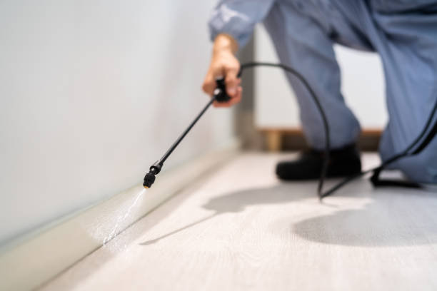 Rodent Entry Point Assessment in White House Station