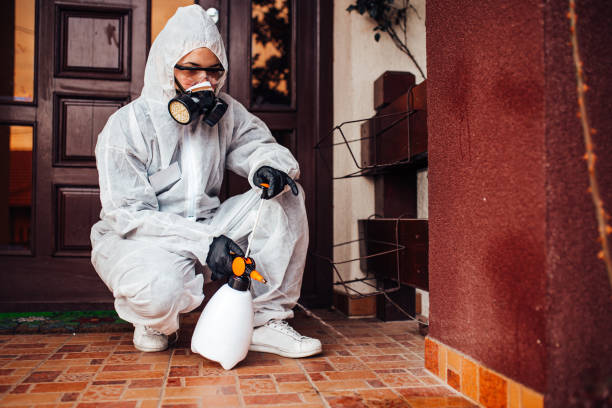 Attic and Crawl Space Rodent Treatment in White House Station