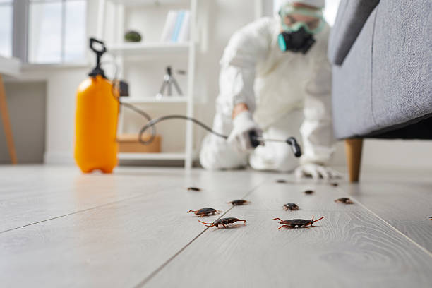 Commercial Rodent Management in White House Station
